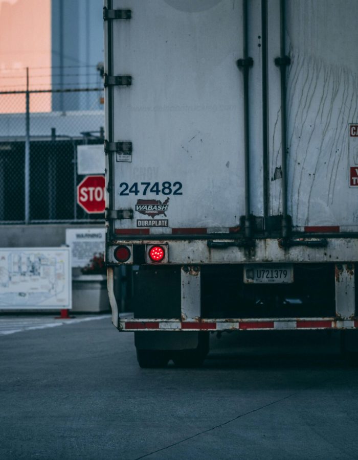 pexels-photo-2449454-2449454